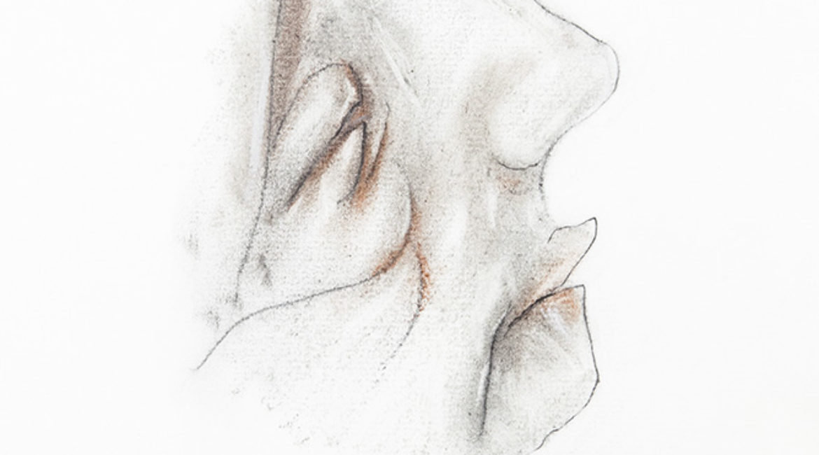 Giacomo Leopardi, caricatura